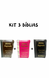 KIT 3 BBLIAS LETRA MDIA C/ HARPA - ZPER - PRETA, MARROM C/ PRETA E ROSA C/ AMARELO 